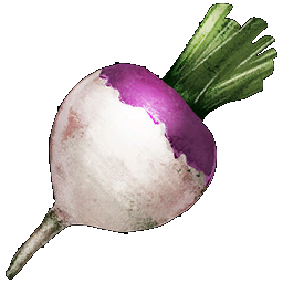 Turnip.png