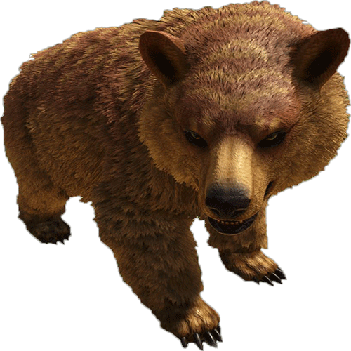 bear.85b328e.png