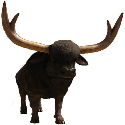 bull.49154bf.png