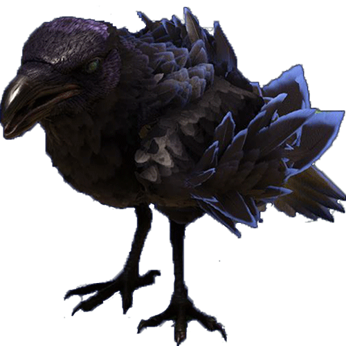 crow.cc3bd20.png