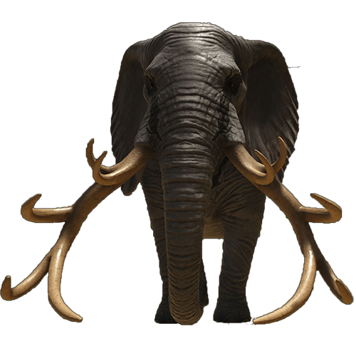 elephant.3365fe4.png