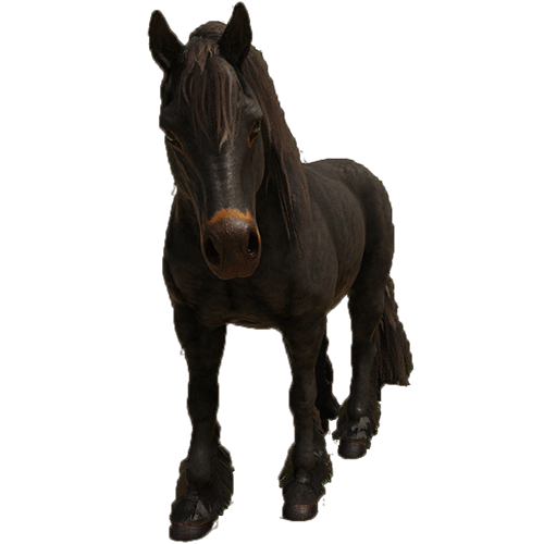 horse.92872de.png