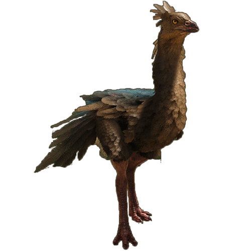 ostrich.b1124c6.png