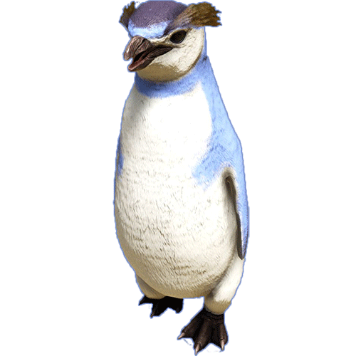 penguin.c0342cd.png