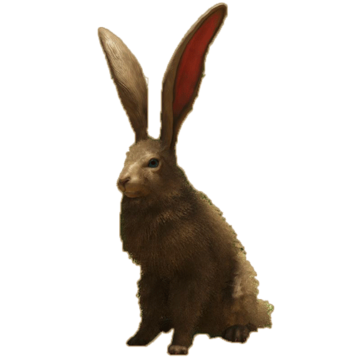 rabbit.20bd2d6.png