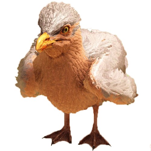 seagull.e2851e3.png