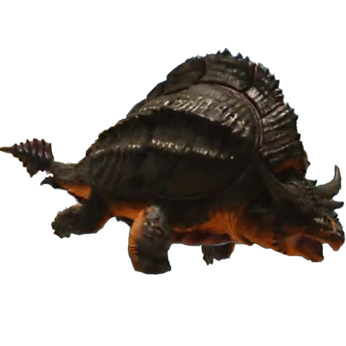 tortugar.496e434.png