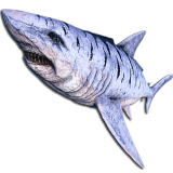 MEGALODON.png