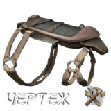 Lymantria_Saddle.png