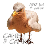 CAIKI