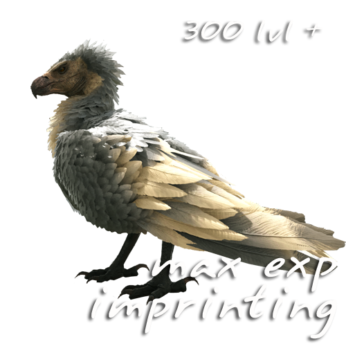 ARGENTAVIS.png