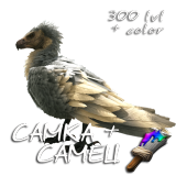 ARGENTAVISRAZVEDENIE