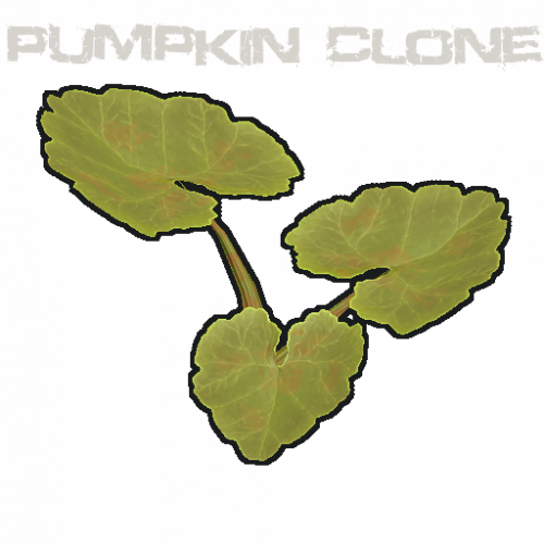 clone.pumpkin.png