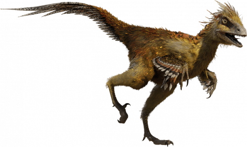 favpng_hesperonychus-troodon-chirostenotes-parksosaurus-stegosaurus.png