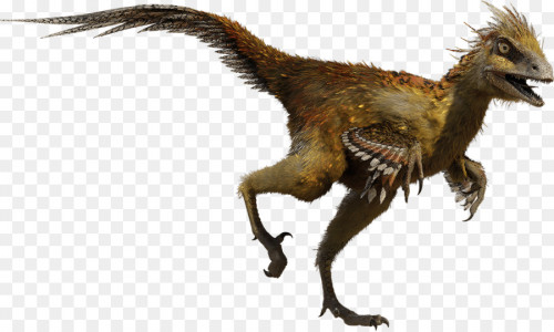 kisspng-hesperonychus-troodon-chirostenotes-parksosaurus-s-dinosaur-5accce22488393.859675951523371554297.jpg