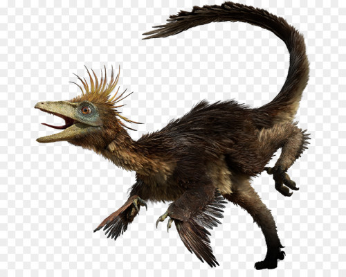 kisspng-troodon-late-cretaceous-tyrannosaurus-hesperonychu-5af2eddd3276b2.8284305615258700452067.jpg