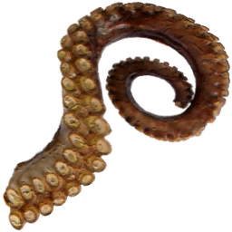 Dried_Squid_Tentacle.png