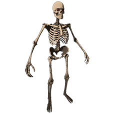 Skeleton_Costume_Skin.png