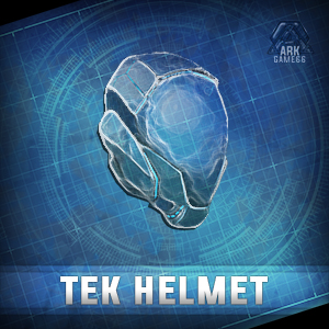 Tek_Helmet.jpg
