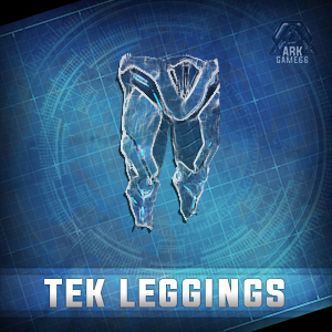 Tek_Leggings.jpg