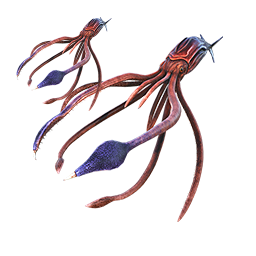 tusoteuthis-1.png