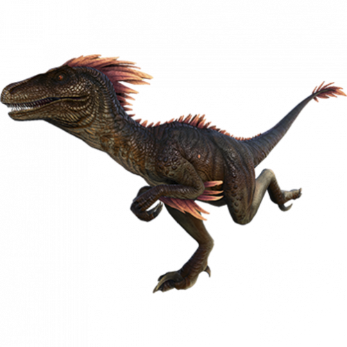 RAPTOR.png