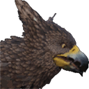 LETAYSII-GRIFFON.png