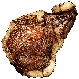 Cooked_Meat.png