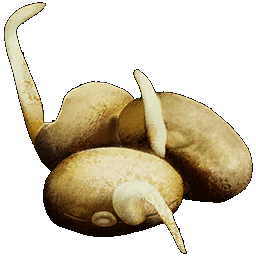 PrimalItemConsumable_Vegetable_Beans_Seed.png
