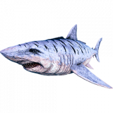 MEGALODON