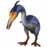 GESPERORNIS