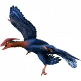 MIKRORAPTOR