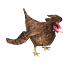 sleeperChickenAnimal-removebg-preview.png