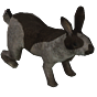 sleeperRabbitAnimal-removebg-preview.png