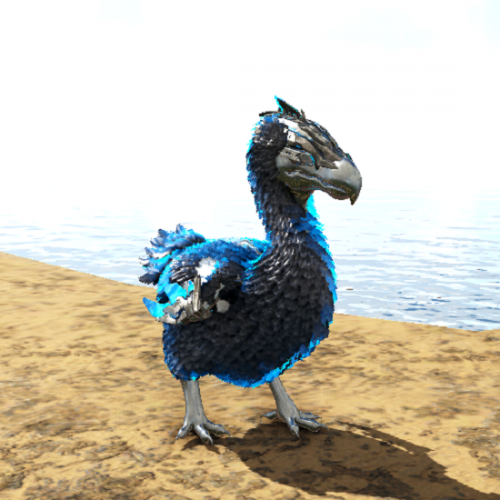 Prome-Dodo.png