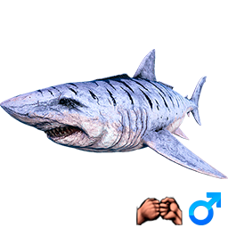 MEGALODON-M-PRIVYZKA.png