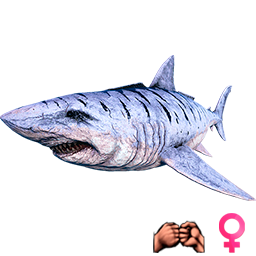 MEGALODON-Z-PRIVYZKA.png