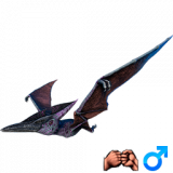 PTERANODON-M-PRIVYZKA