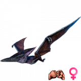 PTERANODON-Z-PRIVYZKA