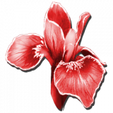 AlphaRareFlower_Icon