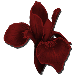 ApexRareFlower_Icon.png