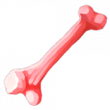 Apex_rex_bone_09_b