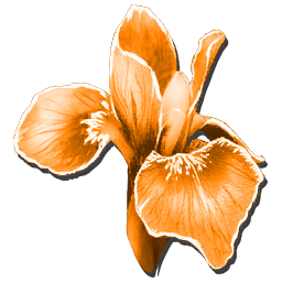 FireRareFlower_Icon.png