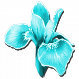 IceRareFlower_Icon