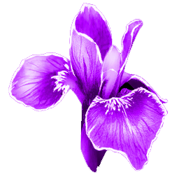 RareFlower_Icon.png