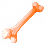 elementrex_bone_09_b