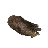 sleeperBearAnimal.png