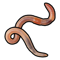 worm.png