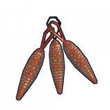 xmas.decoration.pinecone