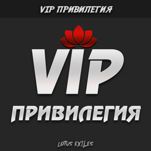 VIP-PRIVILEGIY.jpg